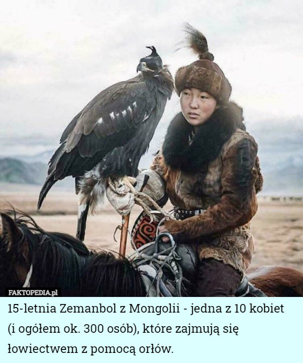 15-letnia Zemanbol z Mongolii - jedna z 10 kobiet
 (i ogółem ok. 300 osób), które zajmują się łowiectwem z pomocą orłów. 