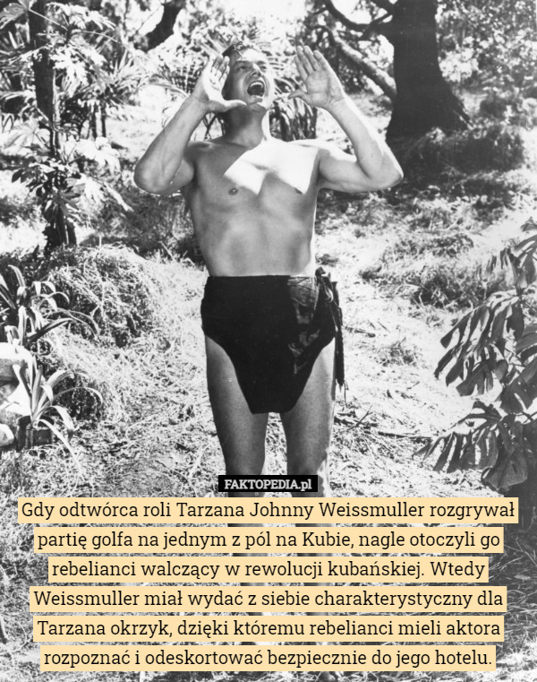 Gdy odtwórca roli Tarzana Johnny Weissmuller rozgrywał partię golfa na jednym z pól na Kubie, nagle otoczyli go rebelianci walczący w rewolucji kubańskiej. Wtedy Weissmuller miał wydać z siebie charakterystyczny dla Tarzana okrzyk, dzięki któremu rebelianci mieli aktora rozpoznać i odeskortować bezpiecznie do jego hotelu. 
