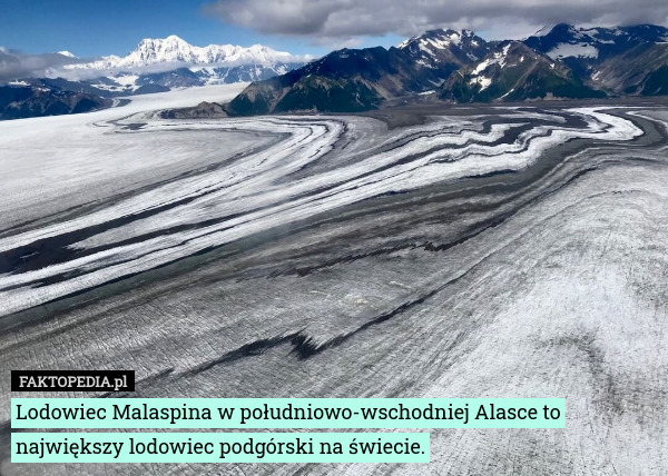 Lodowiec Malaspina w południowo-wschodniej Alasce to największy lodowiec podgórski na świecie. 