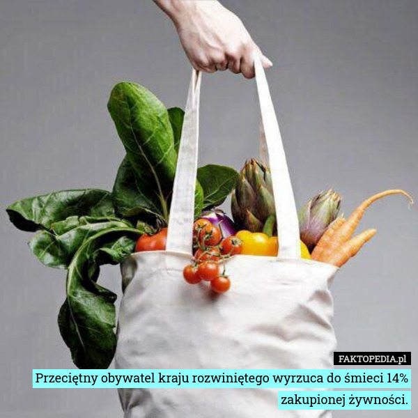 Przeciętny obywatel kraju rozwiniętego wyrzuca do śmieci 14% zakupionej żywności. 