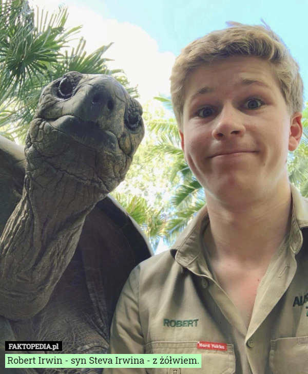 Robert Irwin - syn Steva Irwina - z żółwiem. 