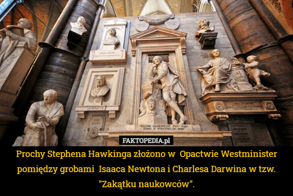 Prochy Stephena Hawkinga złożono w  Opactwie Westminister pomiędzy grobami  Isaaca Newtona i Charlesa Darwina w tzw. "Zakątku naukowców". 
