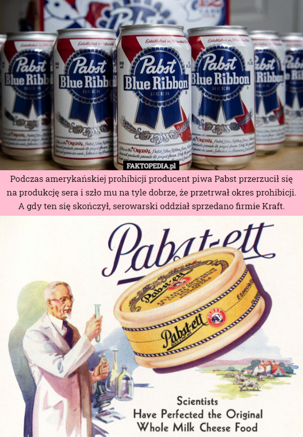 Podczas amerykańskiej prohibicji producent piwa Pabst przerzucił się na produkcję sera i szło mu na tyle dobrze, że przetrwał okres prohibicji. A gdy ten się skończył, serowarski oddział sprzedano firmie Kraft. 