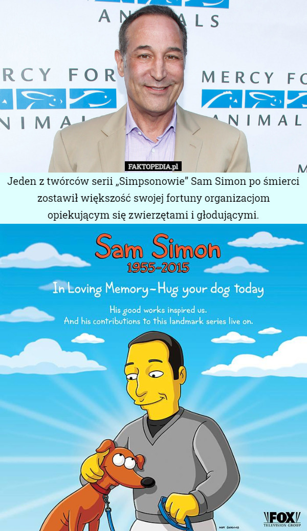 Jeden z twórców serii „Simpsonowie” Sam Simon po śmierci zostawił większość swojej fortuny organizacjom opiekującym się zwierzętami i głodującymi. 
