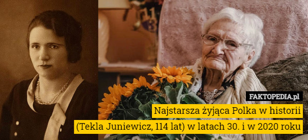 Najstarsza żyjąca Polka w historii
 (Tekla Juniewicz, 114 lat) w latach 30. i w 2020 roku 