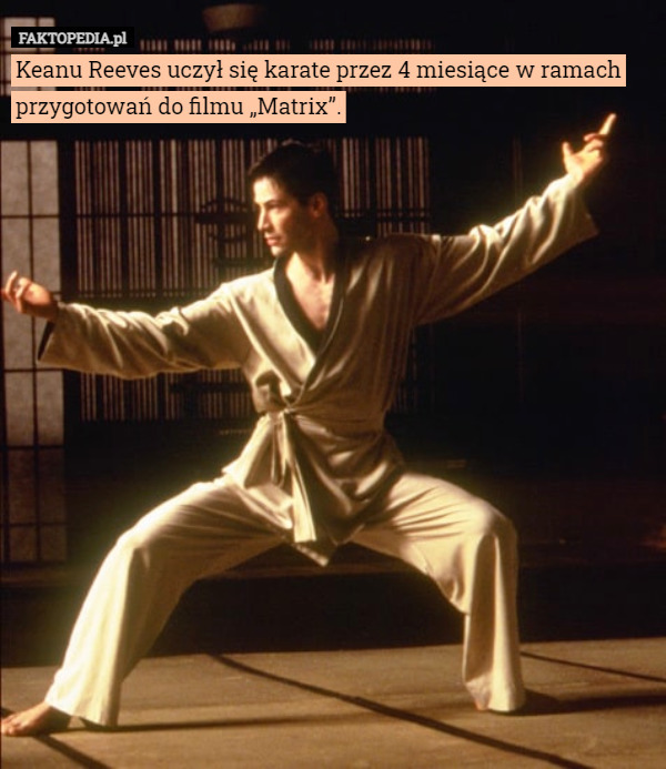 Keanu Reeves uczył się karate przez 4 miesiące w ramach przygotowań do filmu „Matrix”. 