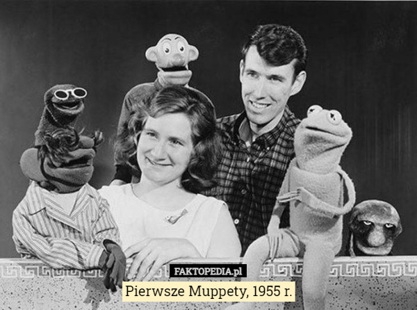 Pierwsze Muppety, 1955 r. 