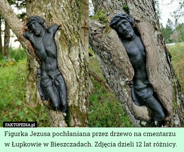 Figurka Jezusa pochłaniana przez drzewo na cmentarzu w Łupkowie w Bieszczadach. Zdjęcia dzieli 12 lat różnicy. 