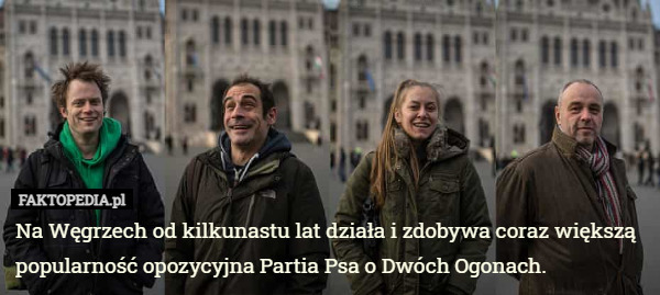 Na Węgrzech od kilkunastu lat działa i zdobywa coraz większą popularność opozycyjna Partia Psa o Dwóch Ogonach. 