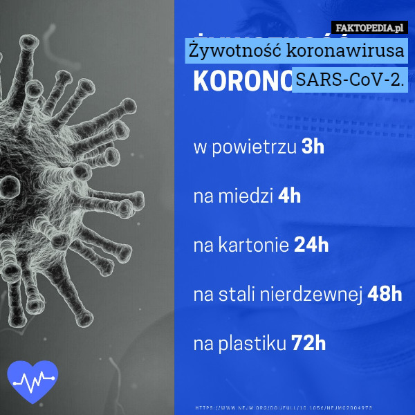 Żywotność koronawirusa
SARS-CoV-2. 