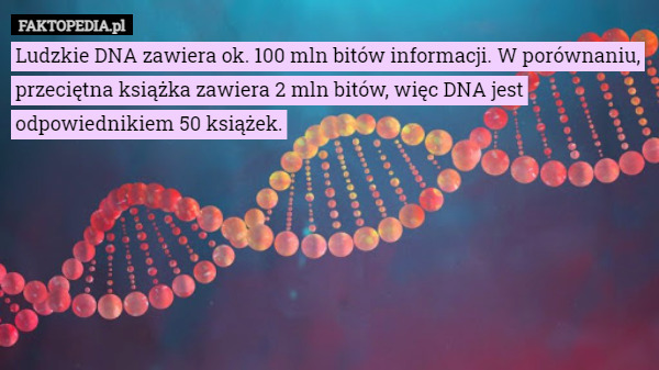Ludzkie DNA zawiera ok. 100 mln bitów informacji. W porównaniu, przeciętna książka zawiera 2 mln bitów, więc DNA jest odpowiednikiem 50 książek. 