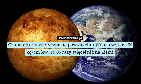 Ciśnienie atmosferyczne na powierzchni Wenus wynosi 85 kg/cm kw. To 85 razy więcej niż na Ziemi. 