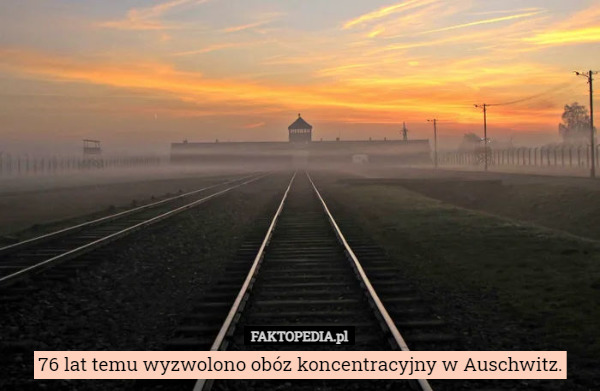76 lat temu wyzwolono obóz koncentracyjny w Auschwitz. 