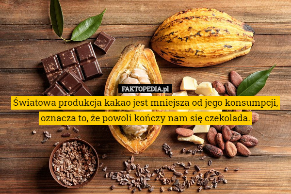 Światowa produkcja kakao jest mniejsza od jego konsumpcji, oznacza to, że powoli kończy nam się czekolada. 