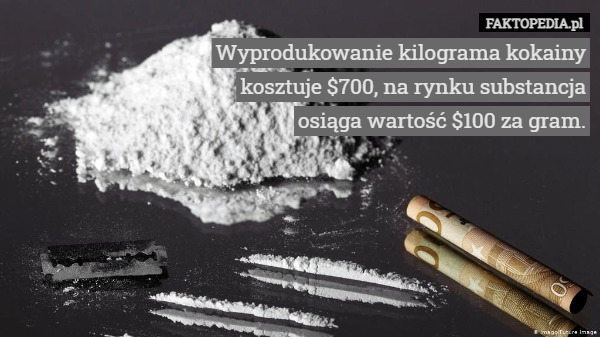 Wyprodukowanie kilograma kokainy kosztuje $700, na rynku substancja osiąga wartość $100 za gram. 
