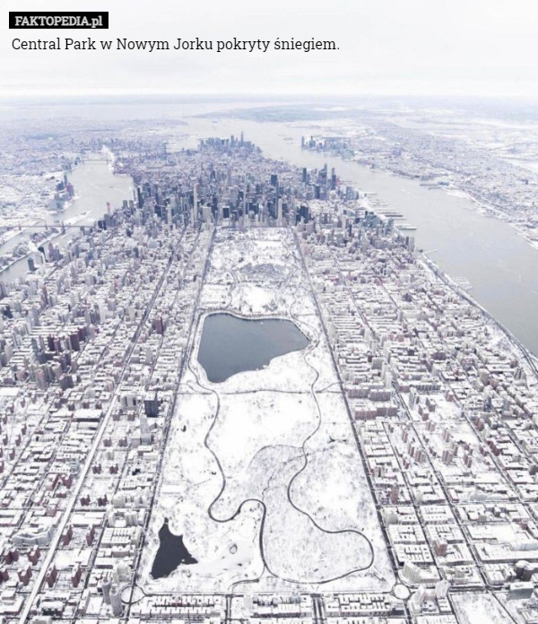 Central Park w Nowym Jorku pokryty śniegiem. 