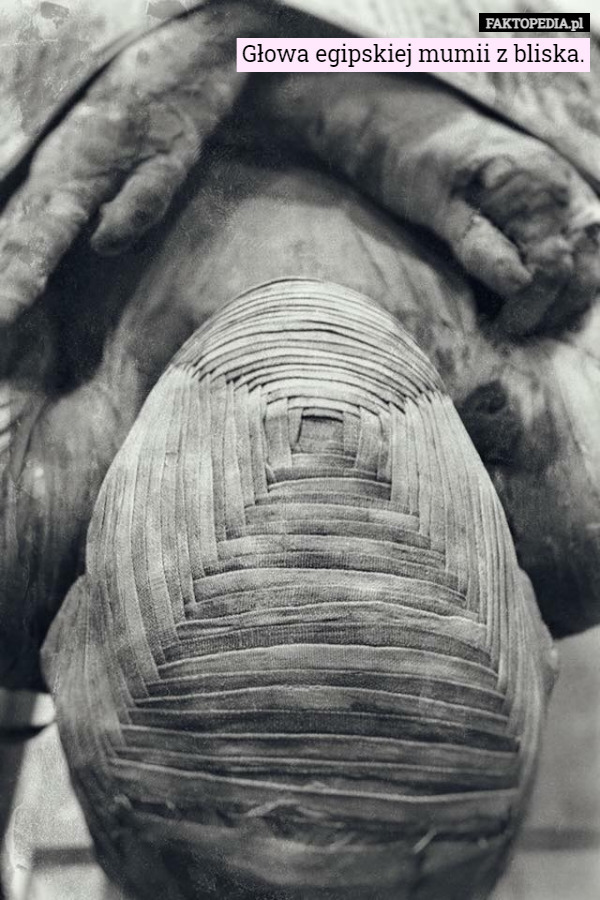 Głowa egipskiej mumii z bliska. 