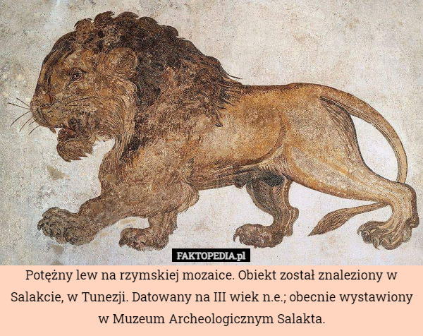 Potężny lew na rzymskiej mozaice. Obiekt został znaleziony w Salakcie, w Tunezji. Datowany na III wiek n.e.; obecnie wystawiony w Muzeum Archeologicznym Salakta. 