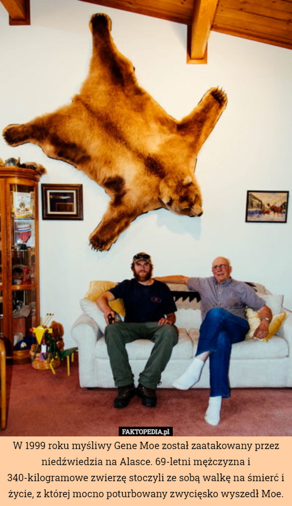 W 1999 roku myśliwy Gene Moe został zaatakowany przez niedźwiedzia na Alasce. 69-letni mężczyzna i 340-kilogramowe zwierzę stoczyli ze sobą walkę na śmierć i życie, z której mocno poturbowany zwycięsko wyszedł Moe. 