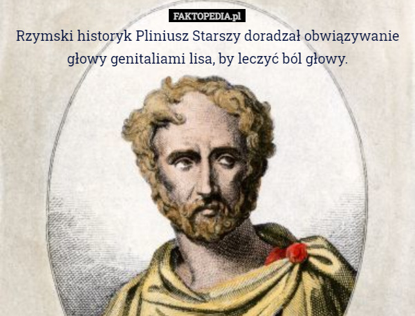 Rzymski historyk Pliniusz Starszy doradzał obwiązywanie głowy genitaliami lisa, by leczyć ból głowy. 
