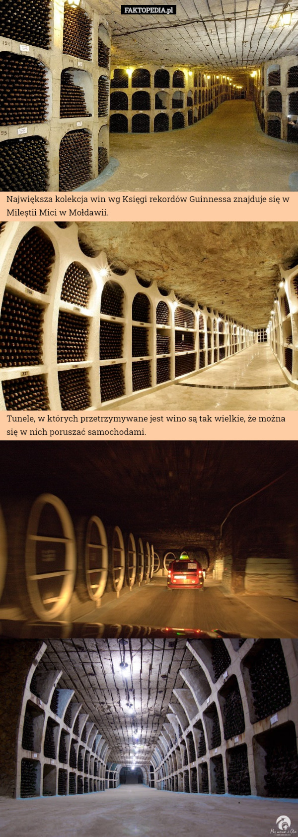 Największa kolekcja win wg Księgi rekordów Guinnessa znajduje się w Mileștii Mici w Mołdawii. Tunele, w których przetrzymywane jest wino są tak wielkie, że można się w nich poruszać samochodami. 