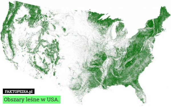 Obszary leśne w USA. 