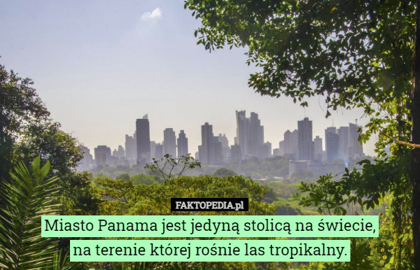 Miasto Panama jest jedyną stolicą na świecie,
 na terenie której rośnie las tropikalny. 