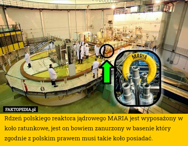 Rdzeń polskiego reaktora jądrowego MARIA jest wyposażony w koło ratunkowe, jest on bowiem zanurzony w basenie który zgodnie z polskim prawem musi takie koło posiadać. 