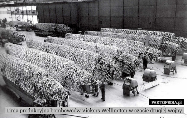 Linia produkcyjna bombowców Vickers Wellington w czasie drugiej wojny. 