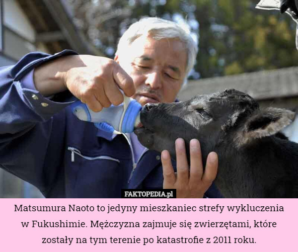 Matsumura Naoto to jedyny mieszkaniec strefy wykluczenia
 w Fukushimie. Mężczyzna zajmuje się zwierzętami, które zostały na tym terenie po katastrofie z 2011 roku. 