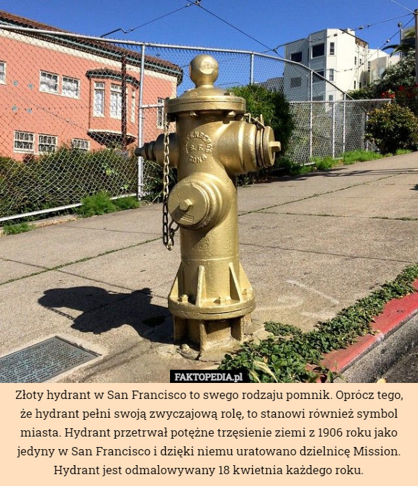 Złoty hydrant w San Francisco to swego rodzaju pomnik. Oprócz tego, że hydrant pełni swoją zwyczajową rolę, to stanowi również symbol miasta. Hydrant przetrwał potężne trzęsienie ziemi z 1906 roku jako jedyny w San Francisco i dzięki niemu uratowano dzielnicę Mission. Hydrant jest odmalowywany 18 kwietnia każdego roku. 