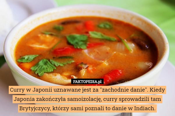 Curry w Japonii uznawane jest za "zachodnie danie". Kiedy Japonia zakończyła samoizolację, curry sprowadzili tam Brytyjczycy, którzy sami poznali to danie w Indiach. 