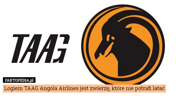 Logiem TAAG Angola Airlines jest zwierzę, które nie potrafi latać 