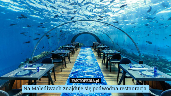 Na Malediwach znajduje się podwodna restauracja. 
