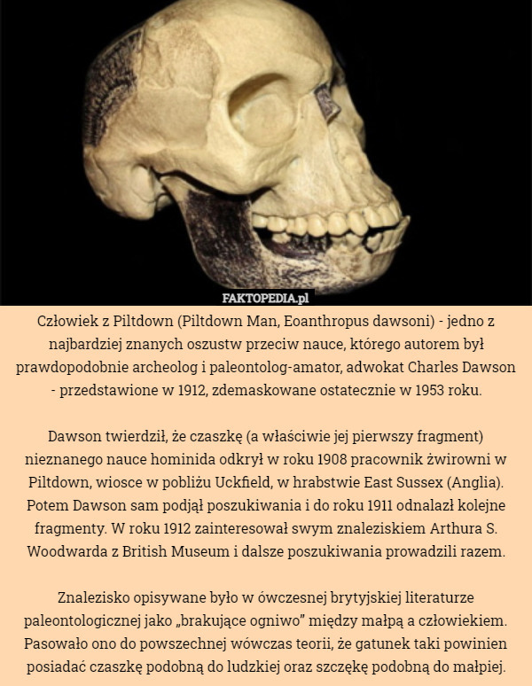 Człowiek z Piltdown (Piltdown Man, Eoanthropus dawsoni) - jedno z najbardziej znanych oszustw przeciw nauce, którego autorem był prawdopodobnie archeolog i paleontolog-amator, adwokat Charles Dawson - przedstawione w 1912, zdemaskowane ostatecznie w 1953 roku.

Dawson twierdził, że czaszkę (a właściwie jej pierwszy fragment) nieznanego nauce hominida odkrył w roku 1908 pracownik żwirowni w Piltdown, wiosce w pobliżu Uckfield, w hrabstwie East Sussex (Anglia). Potem Dawson sam podjął poszukiwania i do roku 1911 odnalazł kolejne fragmenty. W roku 1912 zainteresował swym znaleziskiem Arthura S. Woodwarda z British Museum i dalsze poszukiwania prowadzili razem.

 Znalezisko opisywane było w ówczesnej brytyjskiej literaturze paleontologicznej jako „brakujące ogniwo” między małpą a człowiekiem. Pasowało ono do powszechnej wówczas teorii, że gatunek taki powinien posiadać czaszkę podobną do ludzkiej oraz szczękę podobną do małpiej. 