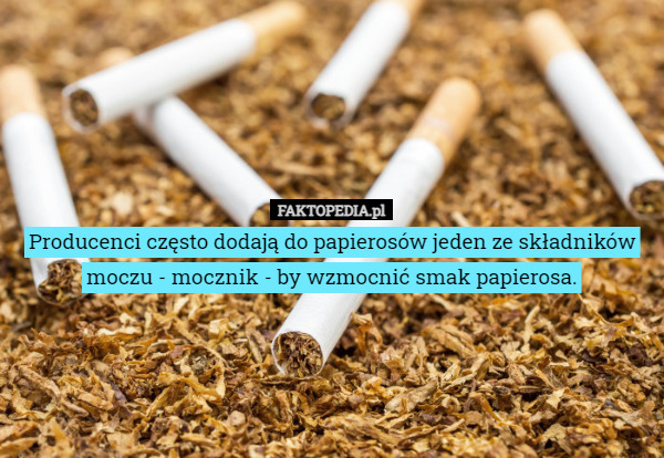 Producenci często dodają do papierosów jeden ze składników moczu - mocznik - by wzmocnić smak papierosa. 
