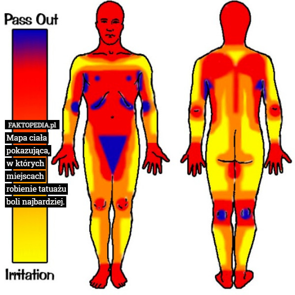 Mapa ciała pokazująca,
 w których miejscach robienie tatuażu boli najbardziej. 