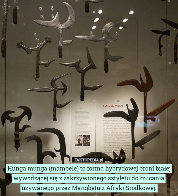 Hunga munga (mambele) to forma hybrydowej broni białej wywodzącej się z zakrzywionego sztyletu do rzucania używanego przez Mangbetu z Afryki Środkowej. 