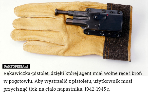 Rękawiczka-pistolet, dzięki której agent miał wolne ręce i broń w pogotowiu. Aby wystrzelić z pistoletu, użytkownik musi przycisnąć tłok na ciało napastnika. 1942-1945 r. 