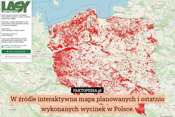 W źródle interaktywna mapa planowanych i ostatnio wykonanych wycinek w Polsce. 