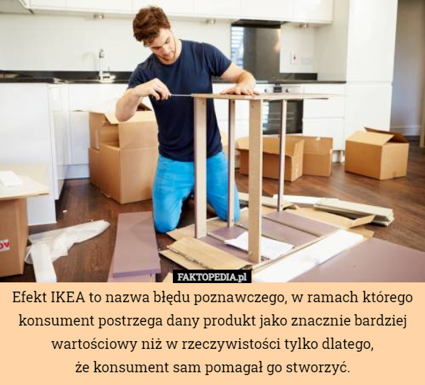 Efekt IKEA to nazwa błędu poznawczego, w ramach którego konsument postrzega dany produkt jako znacznie bardziej wartościowy niż w rzeczywistości tylko dlatego,
 że konsument sam pomagał go stworzyć. 
