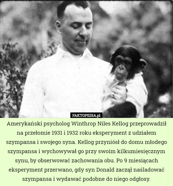 Amerykański psycholog Winthrop Niles Kellog przeprowadził na przełomie 1931 i 1932 roku eksperyment z udziałem szympansa i swojego syna. Kellog przyniósł do domu młodego szympansa i wychowywał go przy swoim kilkumiesięcznym synu, by obserwować zachowania obu. Po 9 miesiącach eksperyment przerwano, gdy syn Donald zaczął naśladować szympansa i wydawać podobne do niego odgłosy. 