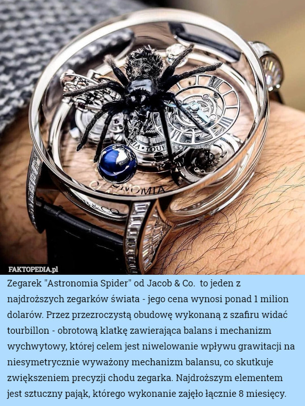 Zegarek "Astronomia Spider" od Jacob & Co.  to jeden z najdroższych zegarków świata - jego cena wynosi ponad 1 milion dolarów. Przez przezroczystą obudowę wykonaną z szafiru widać tourbillon - obrotową klatkę zawierająca balans i mechanizm wychwytowy, której celem jest niwelowanie wpływu grawitacji na niesymetrycznie wyważony mechanizm balansu, co skutkuje zwiększeniem precyzji chodu zegarka. Najdroższym elementem jest sztuczny pająk, którego wykonanie zajęło łącznie 8 miesięcy. 