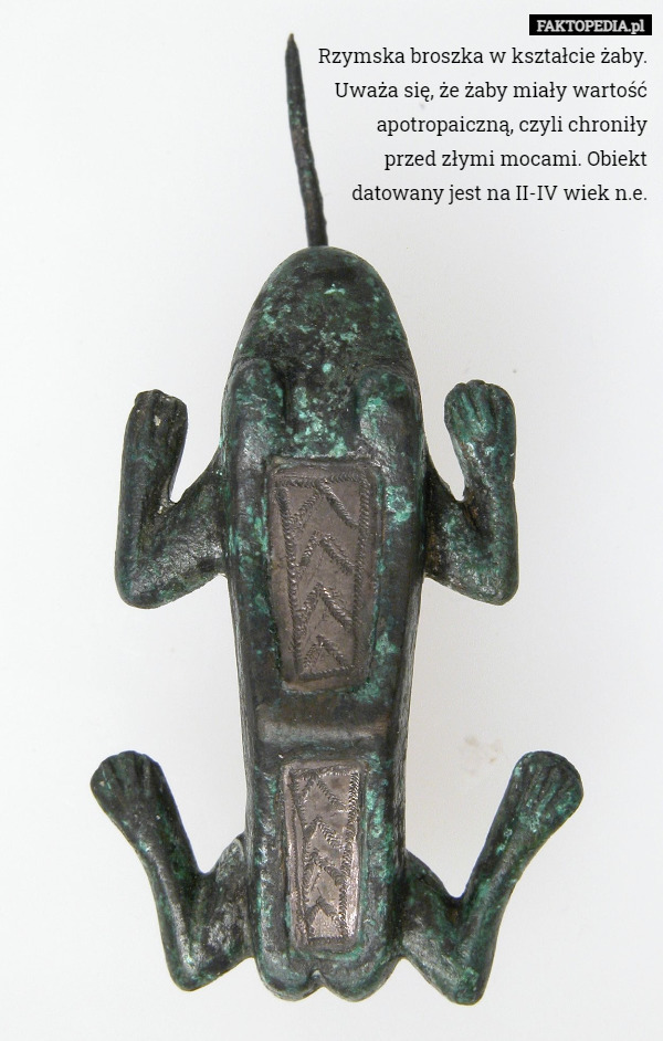 Rzymska broszka w kształcie żaby. Uważa się, że żaby miały wartość apotropaiczną, czyli chroniły
 przed złymi mocami. Obiekt datowany jest na II-IV wiek n.e. 