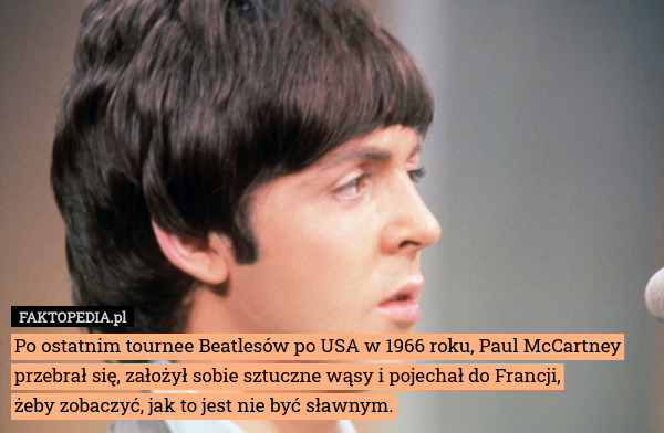 Po ostatnim tournee Beatlesów po USA w 1966 roku, Paul McCartney przebrał się, założył sobie sztuczne wąsy i pojechał do Francji,
żeby zobaczyć, jak to jest nie być sławnym. 