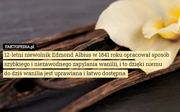 12-letni niewolnik Edmond Albius w 1841 roku opracował sposób szybkiego i niezawodnego zapylania wanilii, i to dzięki niemu
 do dziś wanilia jest uprawiana i łatwo dostępna. 