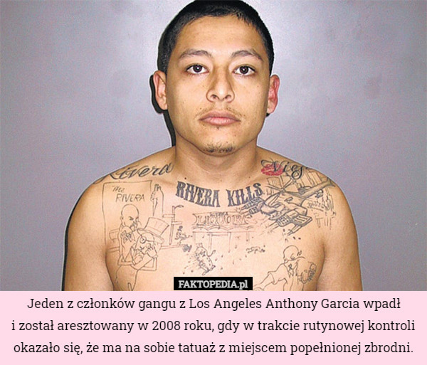 Jeden z członków gangu z Los Angeles Anthony Garcia wpadł
 i został aresztowany w 2008 roku, gdy w trakcie rutynowej kontroli okazało się, że ma na sobie tatuaż z miejscem popełnionej zbrodni. 