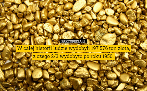 W całej historii ludzie wydobyli 197 576 ton złota,
z czego 2/3 wydobyto po roku 1950. 