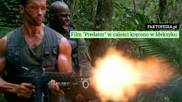 Film "Predator" w całości kręcono w Meksyku. 
