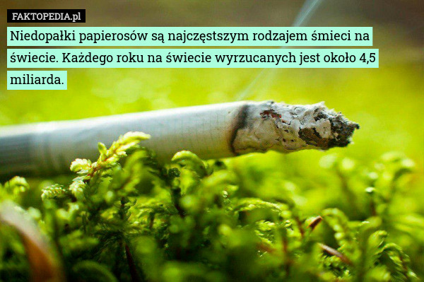 Niedopałki papierosów są najczęstszym rodzajem śmieci na świecie. Każdego roku na świecie wyrzucanych jest około 4,5 miliarda. 